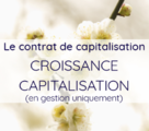 Croissance Capitalisation